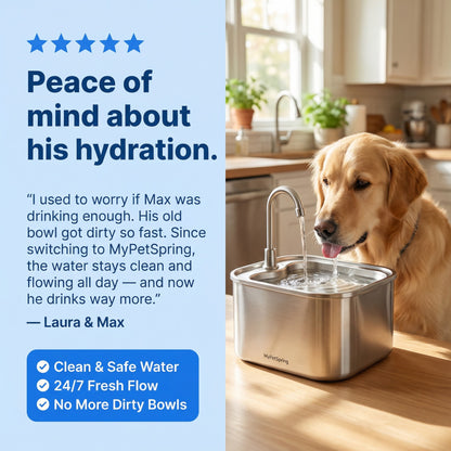 MyPetSpring™ Stainless Steel Pet Water Fountain - Keeps Water Fresh & Clean for Cats & Dogs